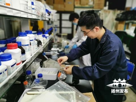 綠色科技新突破 揚州大學研發環保生物藥劑，為植物健康保駕護航